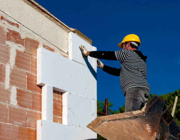 Best Geographic-Specific Insulation Services in Ferndale, WA