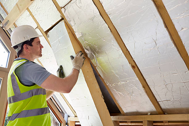 Best Insulation Maintenance and Repair in Ferndale, WA
