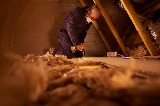 Types of Insulation We Offer in Ferndale, WA