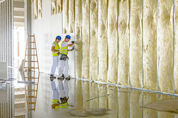 Best Spray Foam Insulation in Ferndale, WA
